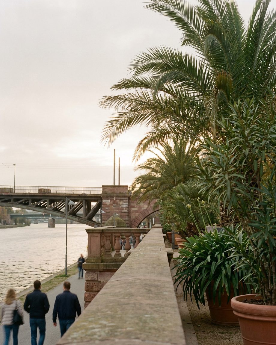 Mediterrane Pflanzen und Palmenwedel des Nizza-Gartens, dahinter die Bögen der Untermainbrücke.